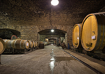 Winzergenossenschaft, Mayschoß, Altenahr, Ahrtal