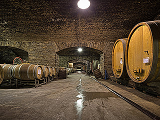 Winzergenossenschaft, Mayschoß, Altenahr, Ahrtal