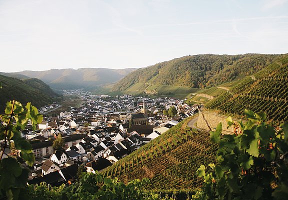 Natur-Genuss-Tour in Dernau: Weinberge und idyllische Landschaften des Ahrtals erleben und genießen.