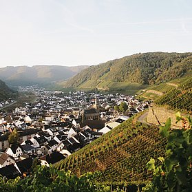 Natur-Genuss-Tour in Dernau: Weinberge und idyllische Landschaften des Ahrtals erleben und genießen.