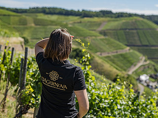 Ahrtal, Bad Neuenahr-Ahrweiler, Dagernova, Weinmanufaktur