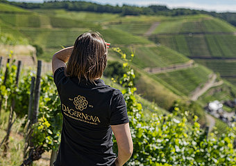 Ahrtal, Bad Neuenahr-Ahrweiler, Dagernova, Weinmanufaktur