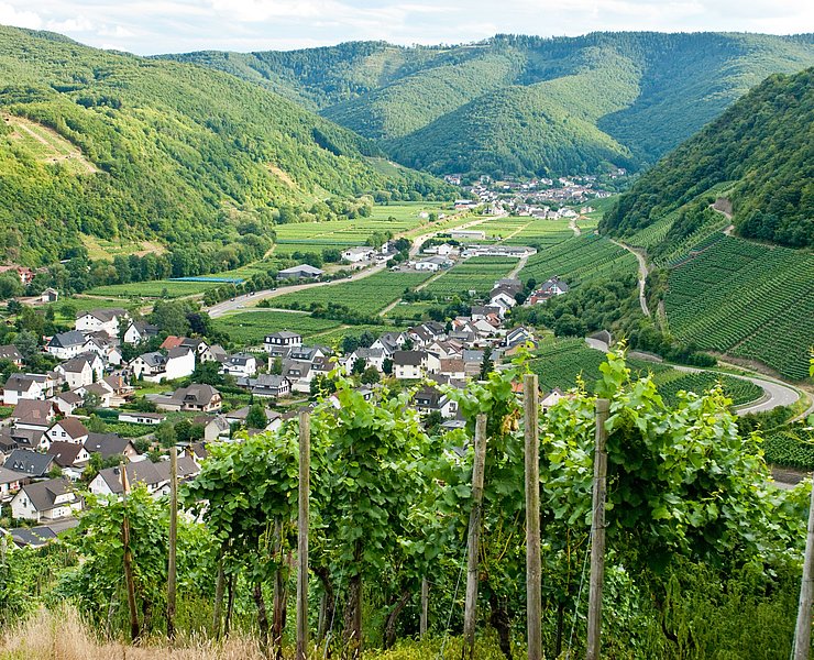 Blick auf Dernau