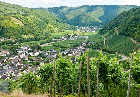 Blick auf Dernau