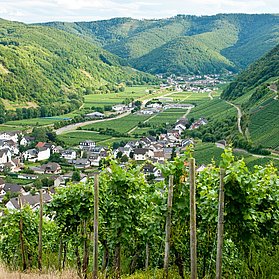 Blick auf Dernau